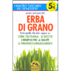 Erba di Grano<br />Tutto quello che devi sapere su: come coltivarla - le ricette - i benefici per la salute - le proprietà ringiovanenti