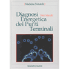 Diagnosi Energetica dei Punti Terminali<br />