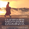 La Pratica della Meditazione Camminata con DVD e CD<br />Consapevolezza in movimento: la pace in ogni passo