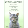 Come un Gatto<br />Tutto quello che ho imparato sulla vita e sull'amore dai gatti selvatici