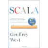 Scala<br />Le leggi universali della crescita, dell'innovazione, della sostenibilità e il ritmo di vita degli organismi, delle città, dell'economia e delle aziende