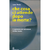 Che Cosa ci Attende Dopo la Morte?<br />Il capolavoro del successore di Allan Kardec