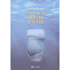 Come Bere Acqua di Mare<br />