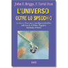 L'universo oltre lo specchio