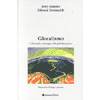 Glocalismo, Alternativa alla Globalizzazione<br />