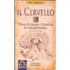 Il cervello