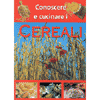 Conoscere e cucinare i cereali