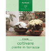 Coltivare Piante in Terrazza<br />