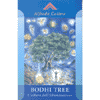 Bodhi Tree<br>l'albero dell'illuminazione