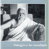 Omaggio a Sri Aurobindo<br />