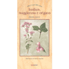 Basilico maggiorana e origano