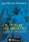 Il potere dei miracoli<br>storie vere della presenza di Dio