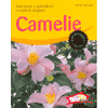 Camelie