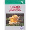 Rose & Spine<br />un fiore tra simbologia e business