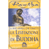 La Rete Neuronale che Permette la Levitazione del Duddha<br />