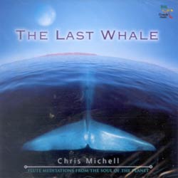 THE LAST WHALE