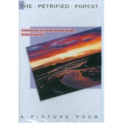 THE PETRIFIED FOREST - dvd