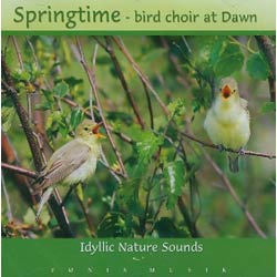 Springtimebird choir at Dawn