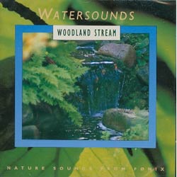 Watersoundswoodland stream