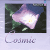 COSMIC