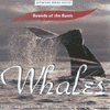 WHALES