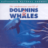 DOLPHINS AND WHALES