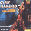 GYPSY FLAMENCO FROM THE CAMARGUE