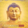 RADIANT AWAKENING