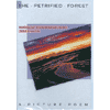THE PETRIFIED FOREST - dvd