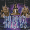 BUDDHA DREAMS 2