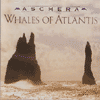 WHALES OF ATLANTIS