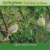 Springtime<br>bird choir at Dawn