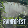 RHYTHM OF THE RAINFOREST