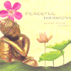 PEACEFUL HARMONY - EASTERN-INSPIRED RELAXATION