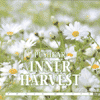 INNER HARVEST