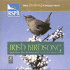 IRISH BIRD SONG