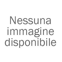 Il fondamento della sapienza